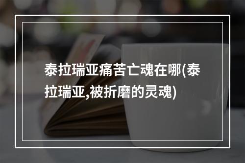 泰拉瑞亚痛苦亡魂在哪(泰拉瑞亚,被折磨的灵魂)