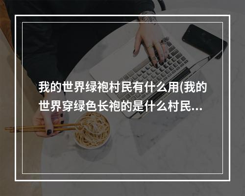 我的世界绿袍村民有什么用(我的世界穿绿色长袍的是什么村民)