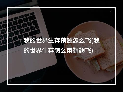 我的世界生存鞘翅怎么飞(我的世界生存怎么用鞘翅飞)