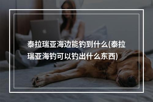 泰拉瑞亚海边能钓到什么(泰拉瑞亚海钓可以钓出什么东西)