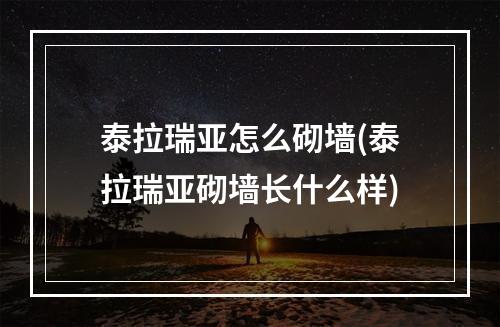 泰拉瑞亚怎么砌墙(泰拉瑞亚砌墙长什么样)