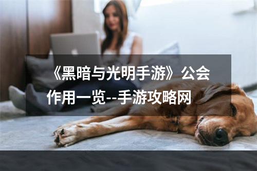 《黑暗与光明手游》公会作用一览--手游攻略网