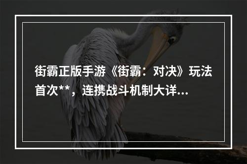 街霸正版手游《街霸：对决》玩法首次**，连携战斗机制大详解--手游攻略网