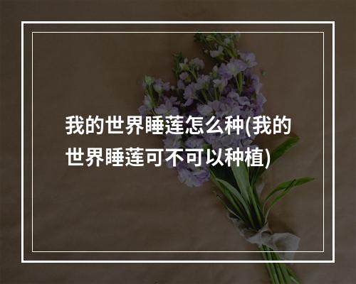 我的世界睡莲怎么种(我的世界睡莲可不可以种植)