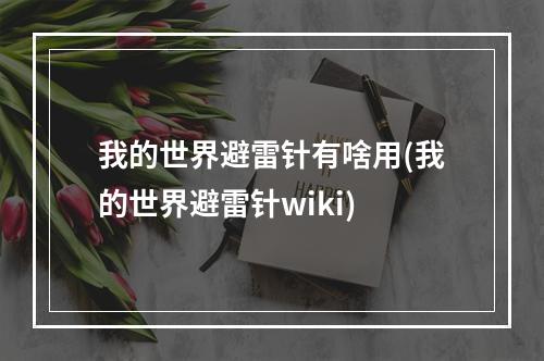 我的世界避雷针有啥用(我的世界避雷针wiki)