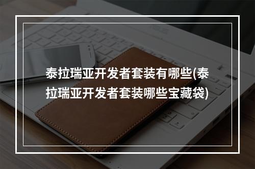 泰拉瑞亚开发者套装有哪些(泰拉瑞亚开发者套装哪些宝藏袋)