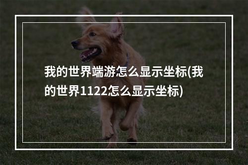 我的世界端游怎么显示坐标(我的世界1122怎么显示坐标)