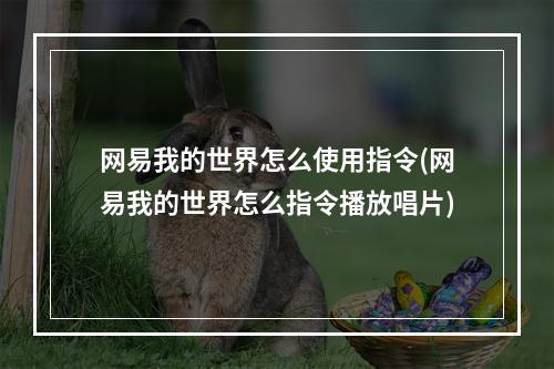 网易我的世界怎么使用指令(网易我的世界怎么指令播放唱片)