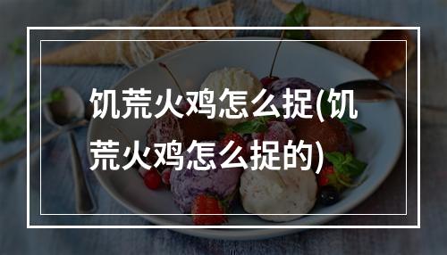 饥荒火鸡怎么捉(饥荒火鸡怎么捉的)