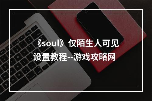 《soul》仅陌生人可见设置教程--游戏攻略网