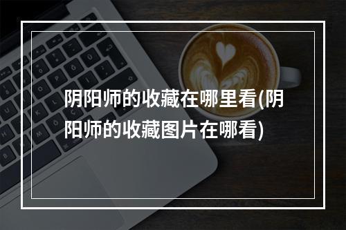 阴阳师的收藏在哪里看(阴阳师的收藏图片在哪看)