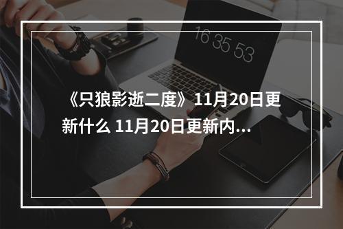 《只狼影逝二度》11月20日更新什么 11月20日更新内容介绍--游戏攻略网