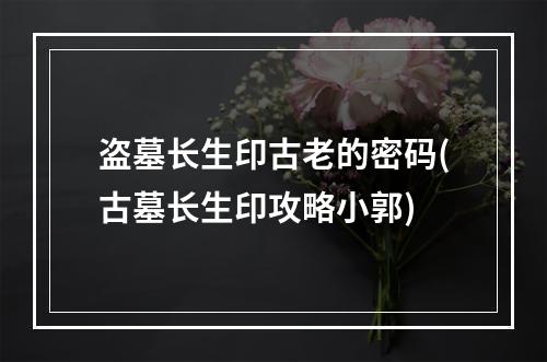 盗墓长生印古老的密码(古墓长生印攻略小郭)