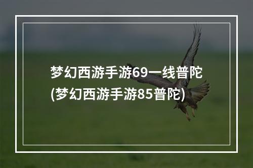 梦幻西游手游69一线普陀(梦幻西游手游85普陀)