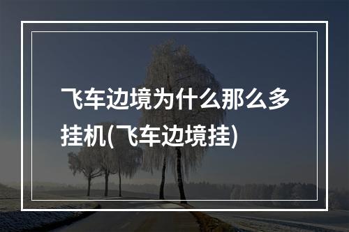 飞车边境为什么那么多挂机(飞车边境挂)