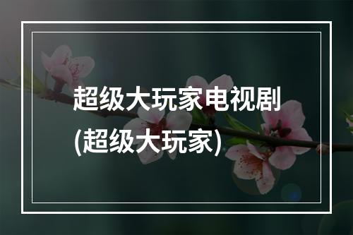 超级大玩家电视剧(超级大玩家)