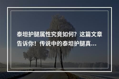 泰坦护腿属性究竟如何？这篇文章告诉你！传说中的泰坦护腿真的值得一抢吗？