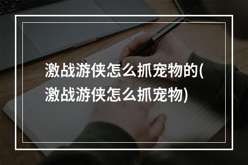 激战游侠怎么抓宠物的(激战游侠怎么抓宠物)