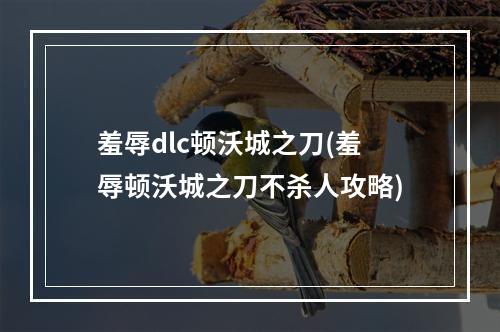 羞辱dlc顿沃城之刀(羞辱顿沃城之刀不杀人攻略)