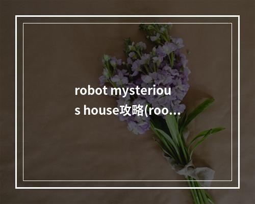 robot mysterious house攻略(roofbot攻略29)