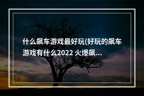 什么飙车游戏最好玩(好玩的飙车游戏有什么2022 火爆飙车游戏TOP10大全  )