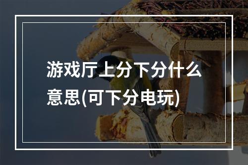 游戏厅上分下分什么意思(可下分电玩)