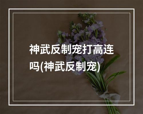 神武反制宠打高连吗(神武反制宠)