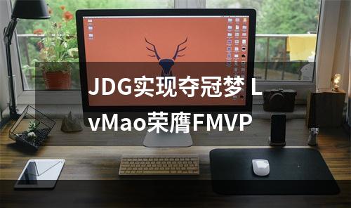 JDG实现夺冠梦 LvMao荣膺FMVP