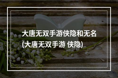 大唐无双手游侠隐和无名(大唐无双手游 侠隐)