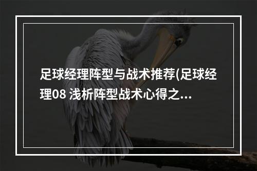 足球经理阵型与战术推荐(足球经理08 浅析阵型战术心得之我见)