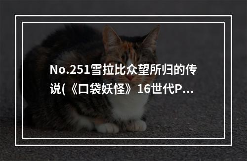 No.251雪拉比众望所归的传说(《口袋妖怪》16世代PM新神话)