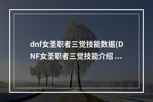 dnf女圣职者三觉技能数据(DNF女圣职者三觉技能介绍 DNF女圣职者全职业三觉技能)