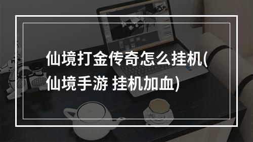 仙境打金传奇怎么挂机(仙境手游 挂机加血)