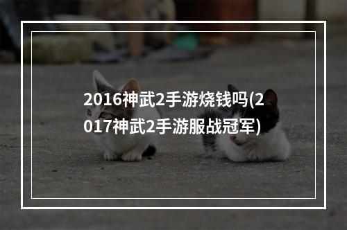 2016神武2手游烧钱吗(2017神武2手游服战冠军)