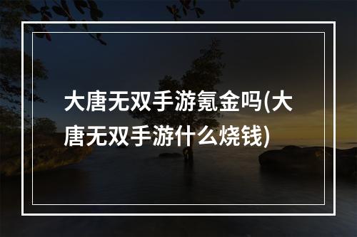 大唐无双手游氪金吗(大唐无双手游什么烧钱)