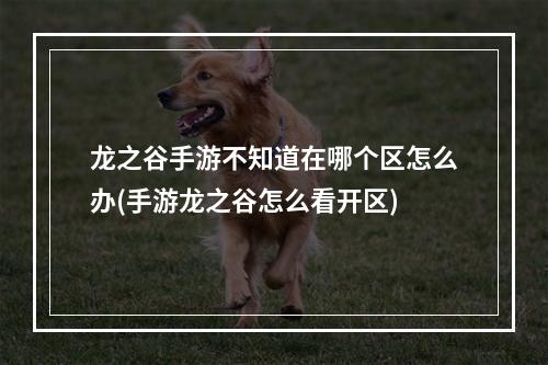 龙之谷手游不知道在哪个区怎么办(手游龙之谷怎么看开区)