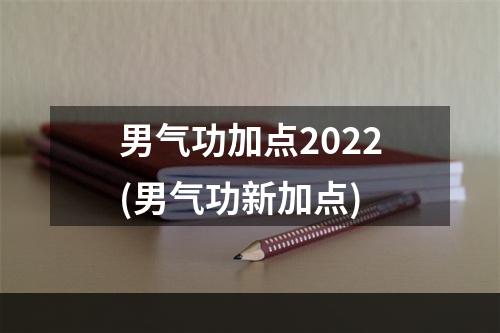 男气功加点2022(男气功新加点)