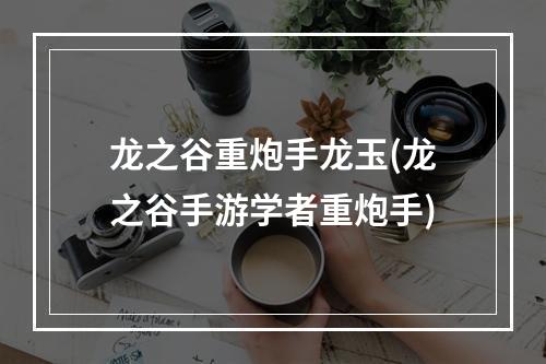 龙之谷重炮手龙玉(龙之谷手游学者重炮手)