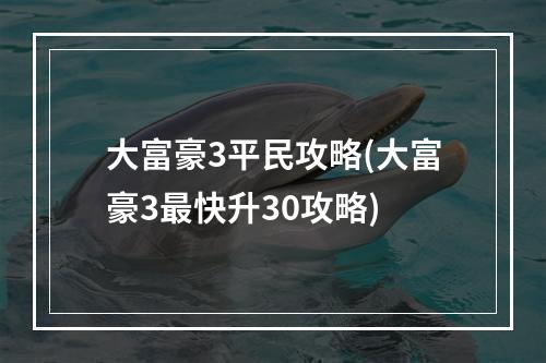 大富豪3平民攻略(大富豪3最快升30攻略)