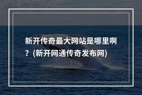 新开传奇最大网站是哪里啊？(新开网通传奇发布网)