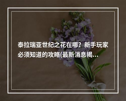 泰拉瑞亚世纪之花在哪？新手玩家必须知道的攻略(最新消息揭露)