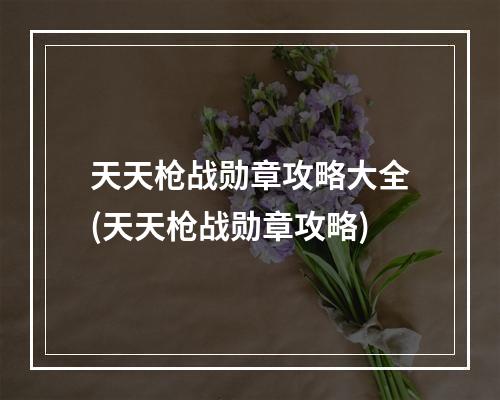 天天枪战勋章攻略大全(天天枪战勋章攻略)