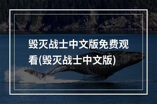 毁灭战士中文版免费观看(毁灭战士中文版)