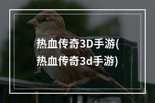 热血传奇3D手游(热血传奇3d手游)