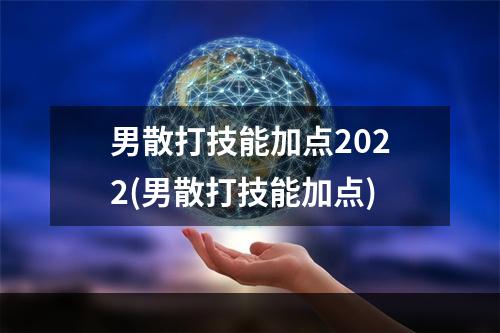 男散打技能加点2022(男散打技能加点)