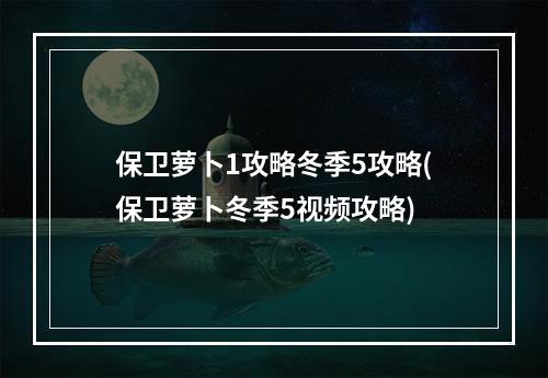 保卫萝卜1攻略冬季5攻略(保卫萝卜冬季5视频攻略)