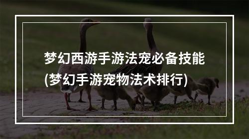 梦幻西游手游法宠必备技能(梦幻手游宠物法术排行)