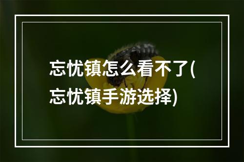 忘忧镇怎么看不了(忘忧镇手游选择)