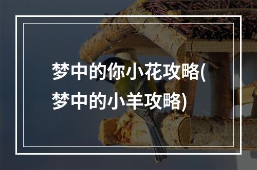 梦中的你小花攻略(梦中的小羊攻略)