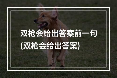 双枪会给出答案前一句(双枪会给出答案)